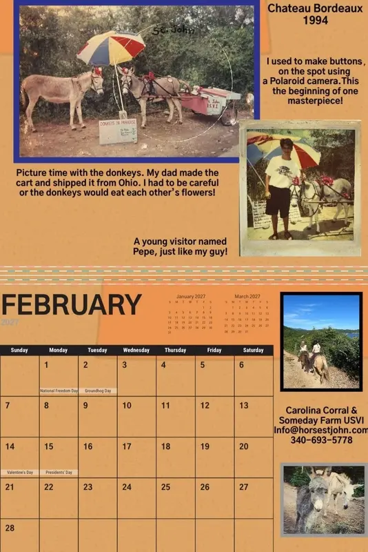 St. John donkey calendar