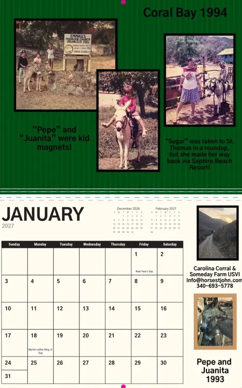 2027 St. John Virgin Islands Donkey Calendar