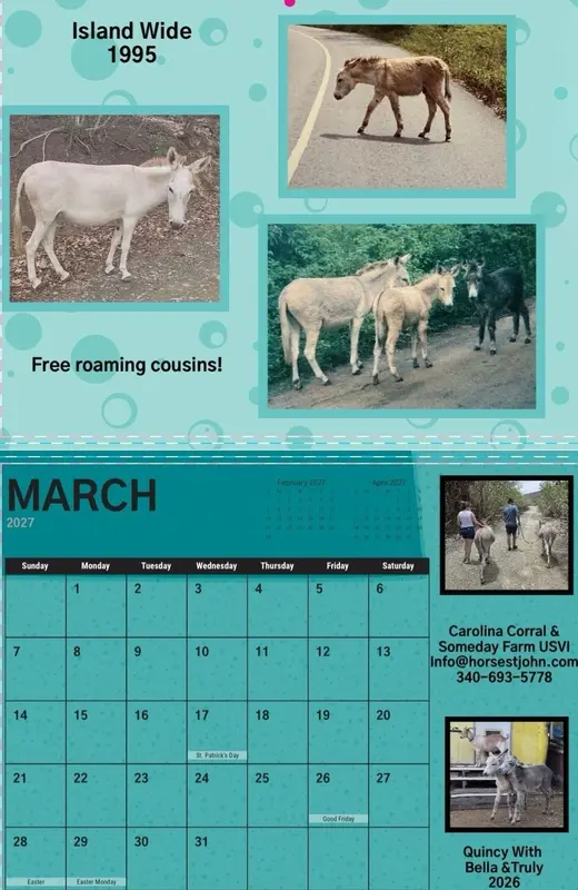 Carolina Corral donkey calendar